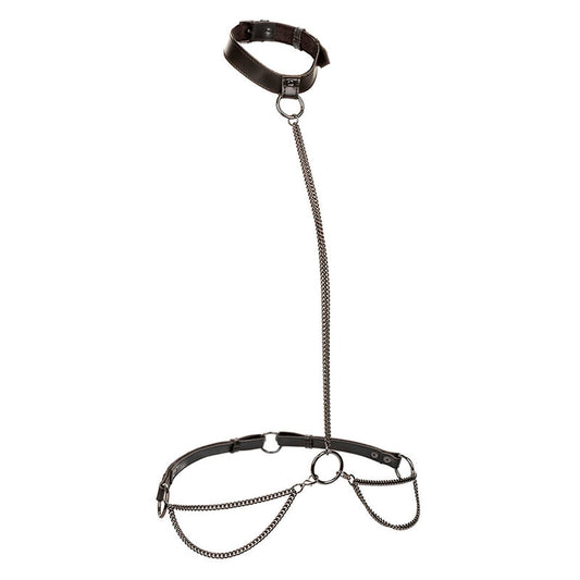 CALEXOTICS - EUPHORIA HALSKETTING MET HALTER EN RIEM PLUS SIZE