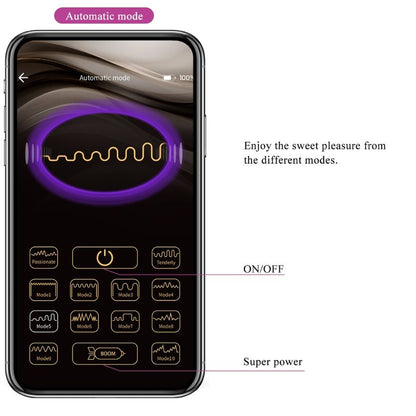 PRETTY LOVE - ETHAN OPLAADBARE VIBRATOR LILA