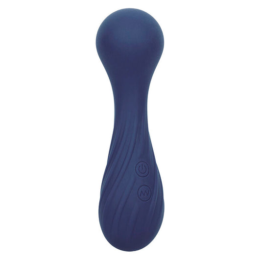 CALEXOTICS - CHARISMA TEMPTATION MASSAGEUR 12 FUNCTIES PAARS